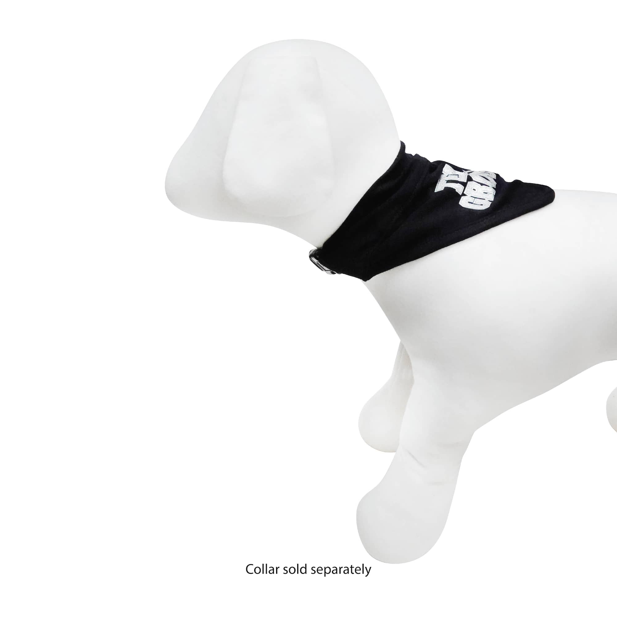 Best Furry Friends Black Team Groom Bandana Collar Slide